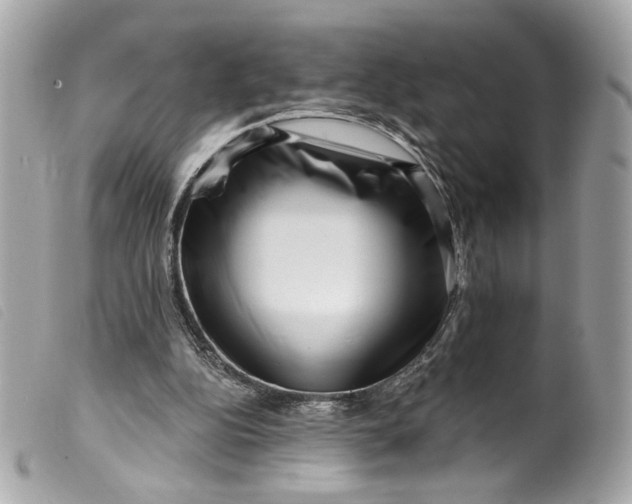 X0000099560152200805301548