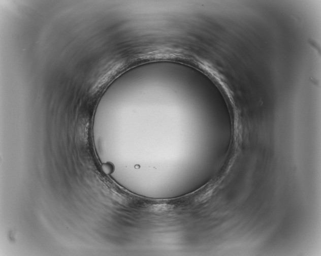 X0000099560153200805301548