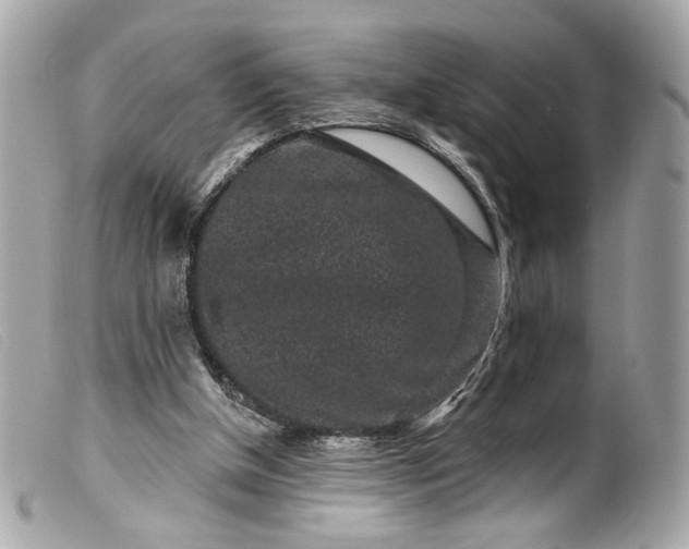 X0000099560154200805301548