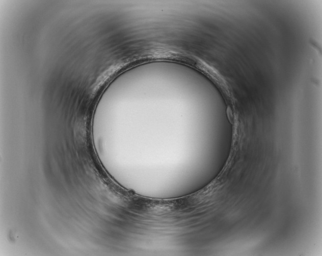 X0000099560155200805301548