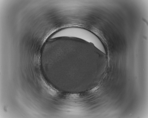 X0000099560156200805301548