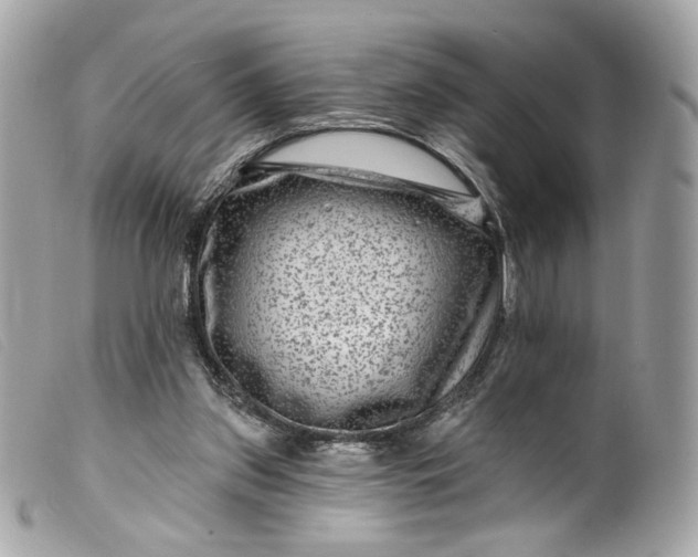 X0000099560157200805301548