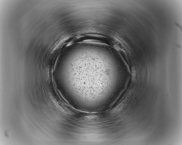 X0000099560158200805301548