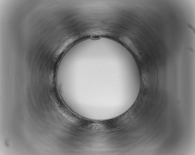 X0000099560159200805301548