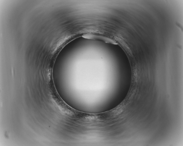 X0000099560160200805301548