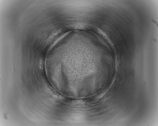 X0000099560161200805301548