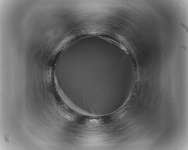 X0000099560163200805301548