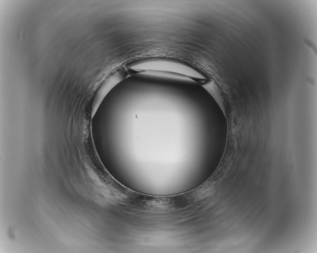 X0000099560164200805301548