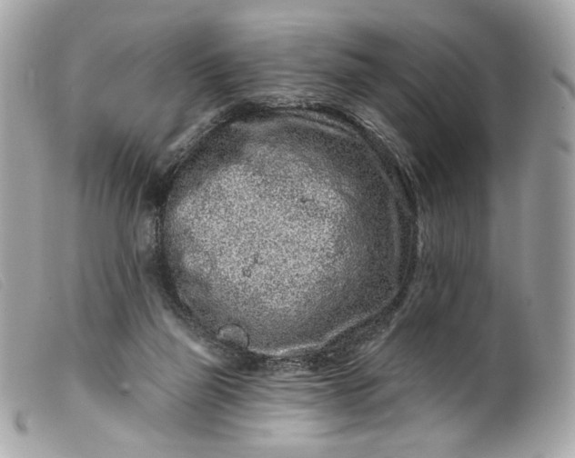 X0000099560165200805301548