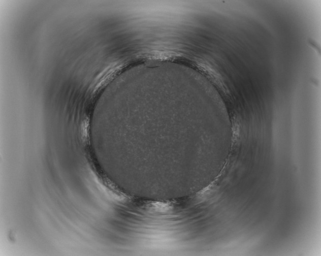 X0000099560166200805301548