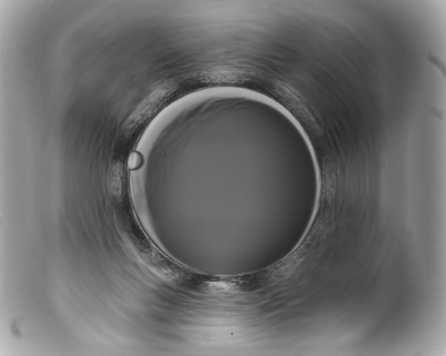 X0000099560167200805301548