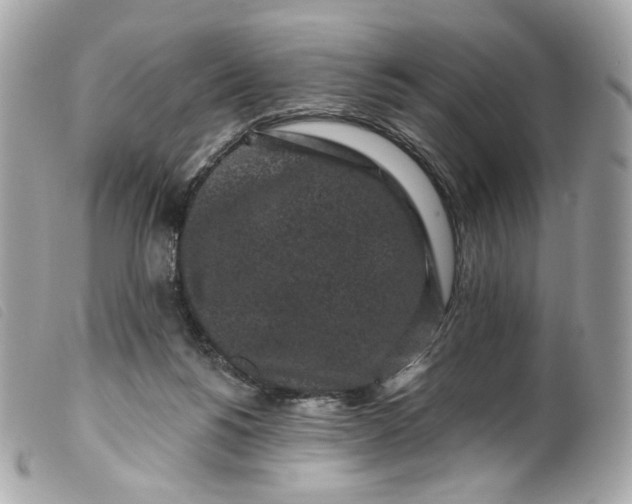 X0000099560168200805301548