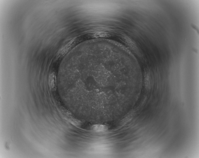 X0000099560169200805301548