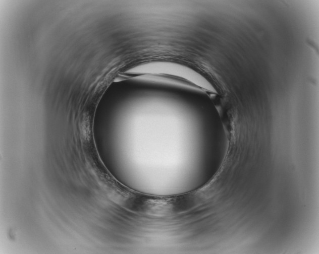 X0000099560170200805301548