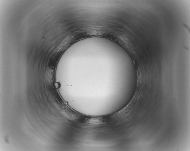 X0000099560171200805301548