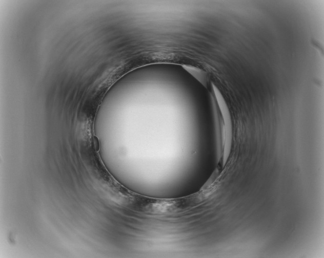 X0000099560172200805301549