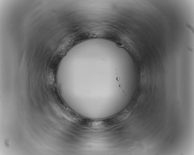 X0000099560173200805301549