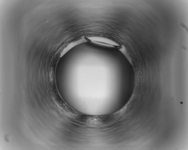 X0000099560174200805301549