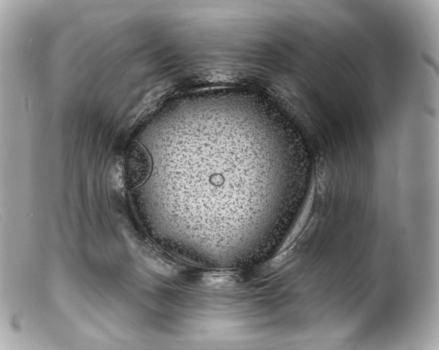 X0000099560175200805301549