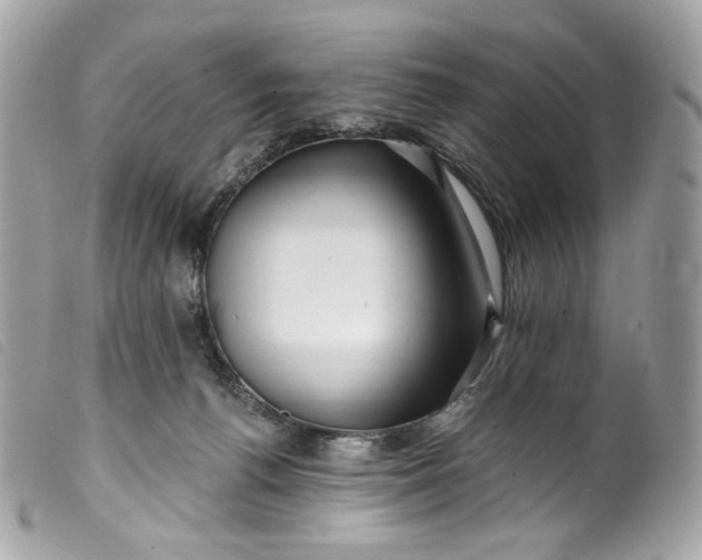 X0000099560176200805301549