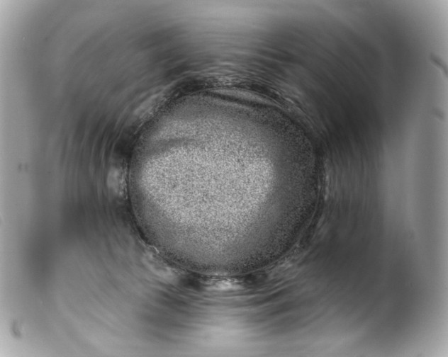 X0000099560177200805301549