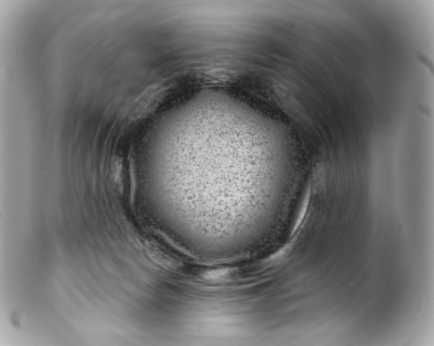 X0000099560178200805301549