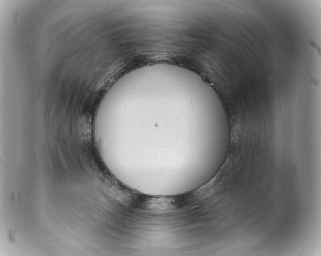 X0000099560179200805301549