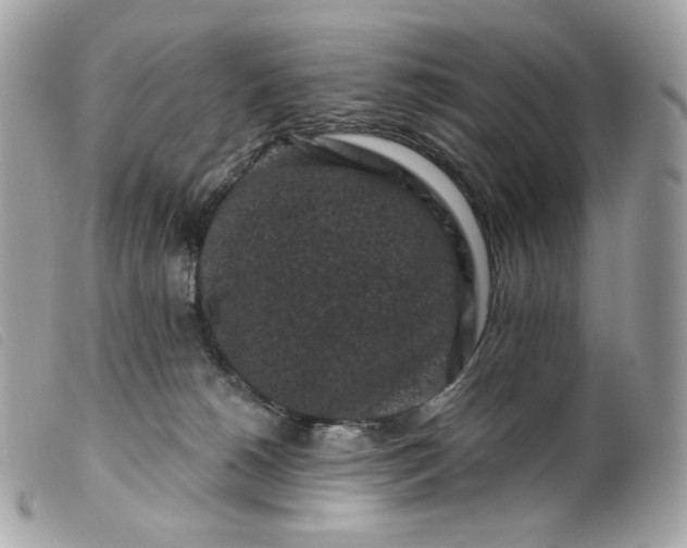 X0000099560180200805301549