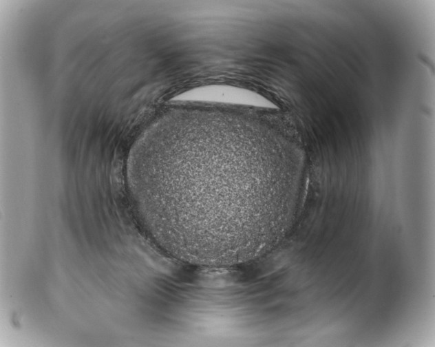 X0000099560181200805301549