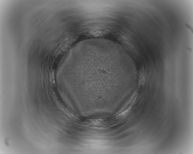 X0000099560182200805301549