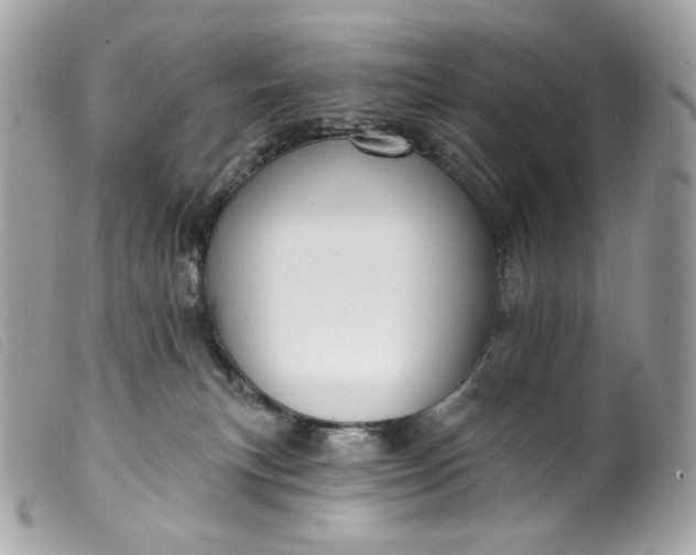 X0000099560183200805301549