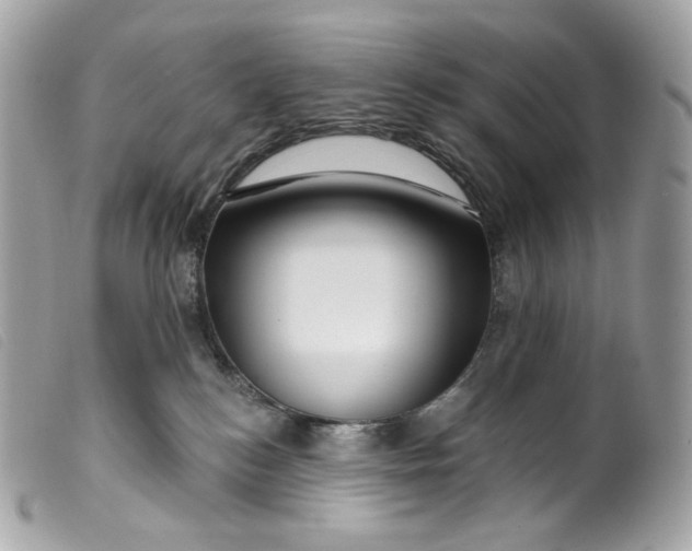 X0000099560184200805301549