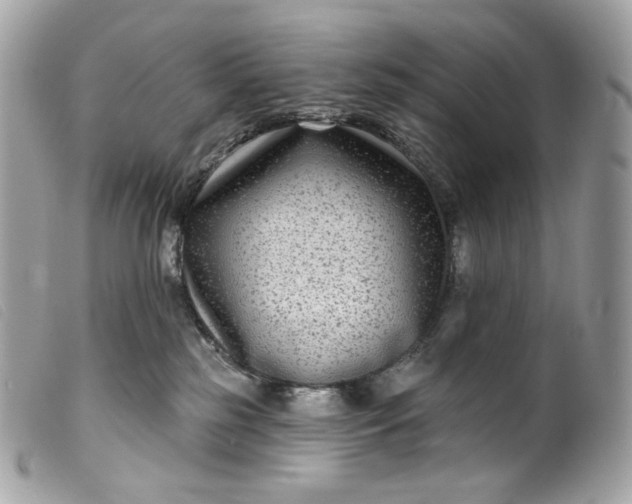 X0000099560185200805301549