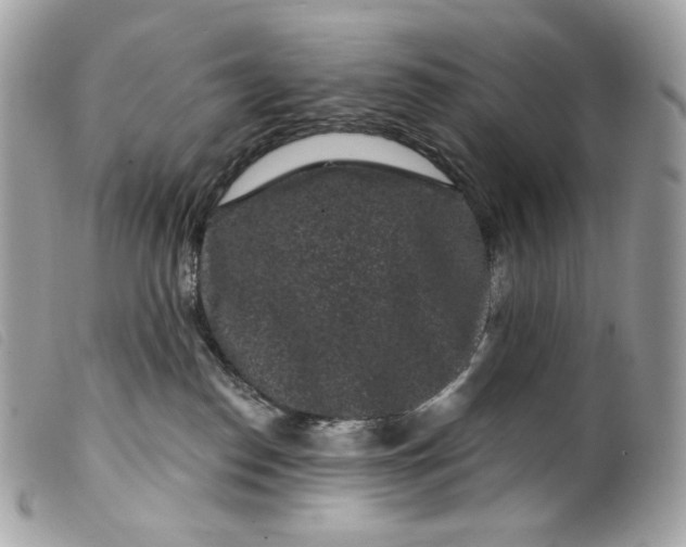 X0000099560186200805301549