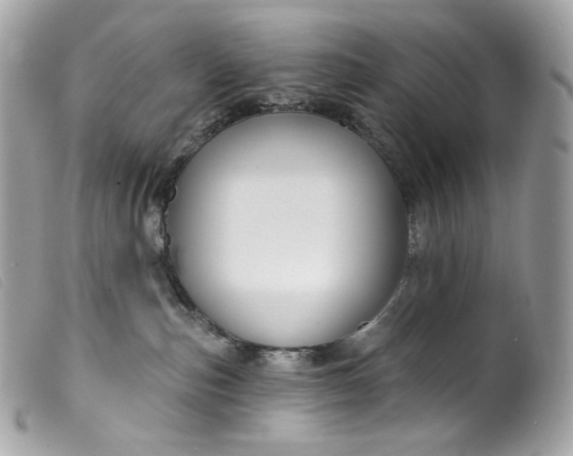 X0000099560187200805301549