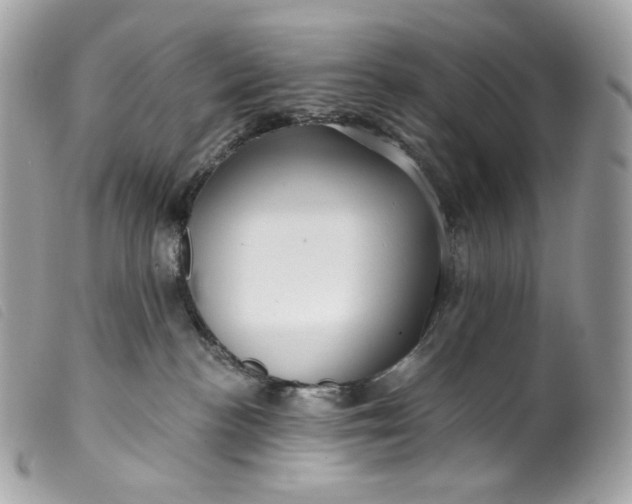 X0000099560188200805301549