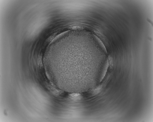 X0000099560189200805301549