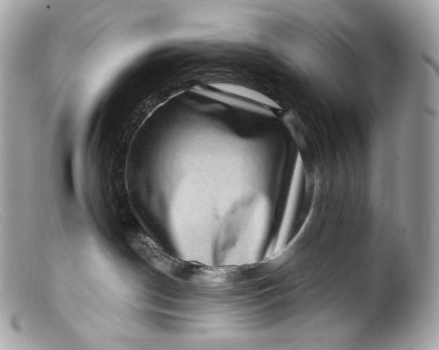 X0000099560190200805301549