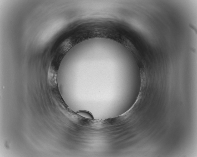 X0000099560191200805301549