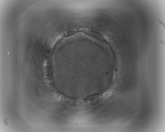 X0000099560192200805301549