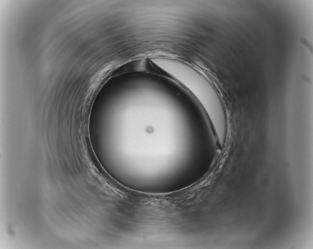 X0000099560193200805301548