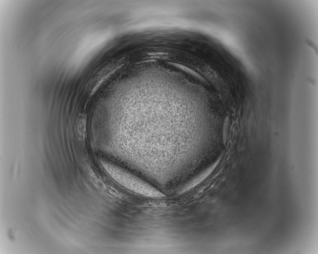 X0000099560194200805301548