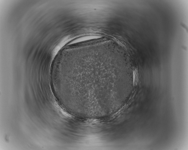 X0000099560195200805301548