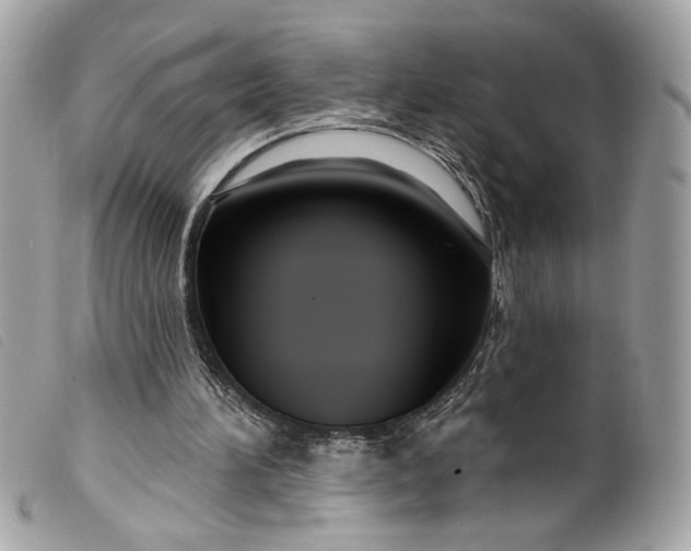 X0000099560196200805301548