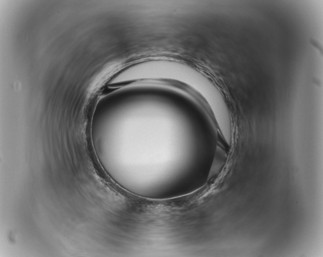 X0000099560197200805301548