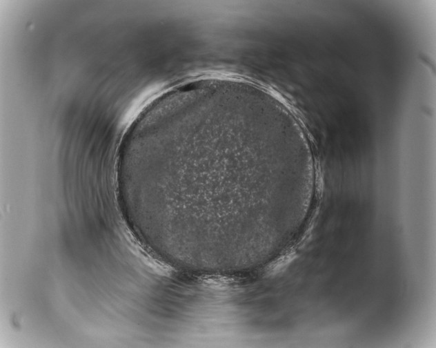 X0000099560199200805301548