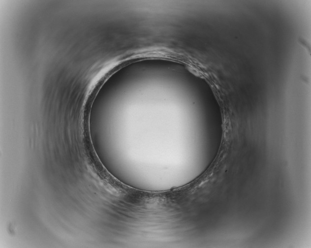 X0000099560200200805301548