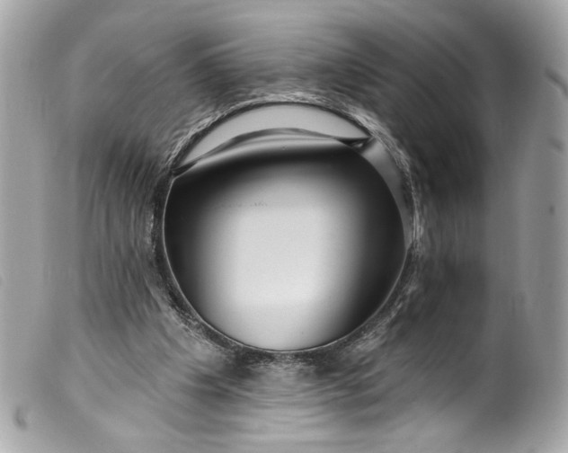 X0000099560201200805301548