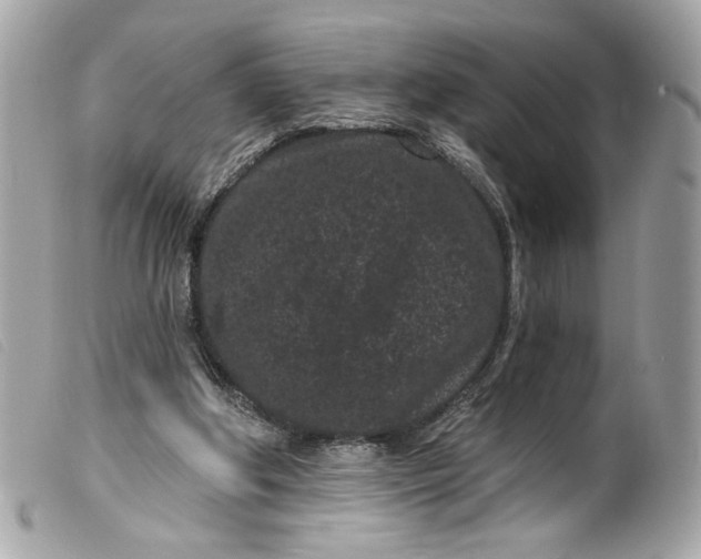 X0000099560202200805301548