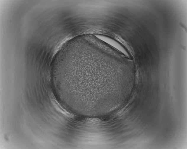 X0000099560203200805301548